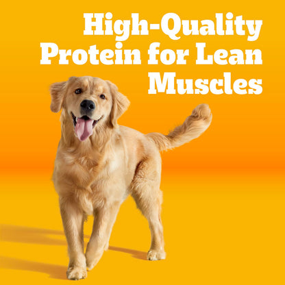 Pedigree Dry Dog Food for Adult Dogs, High Protein, Beef and Lamb Flavor, 18 lb. Bag