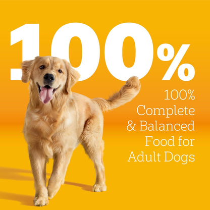 Pedigree Dry Dog Food Tender Bites, Adult Chicken and Steak Flavor, 14 lb. Bag