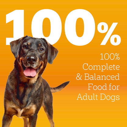 Pedigree Dry Dog Food for Adult Dogs, High Protein, Beef and Lamb Flavor, 18 lb. Bag