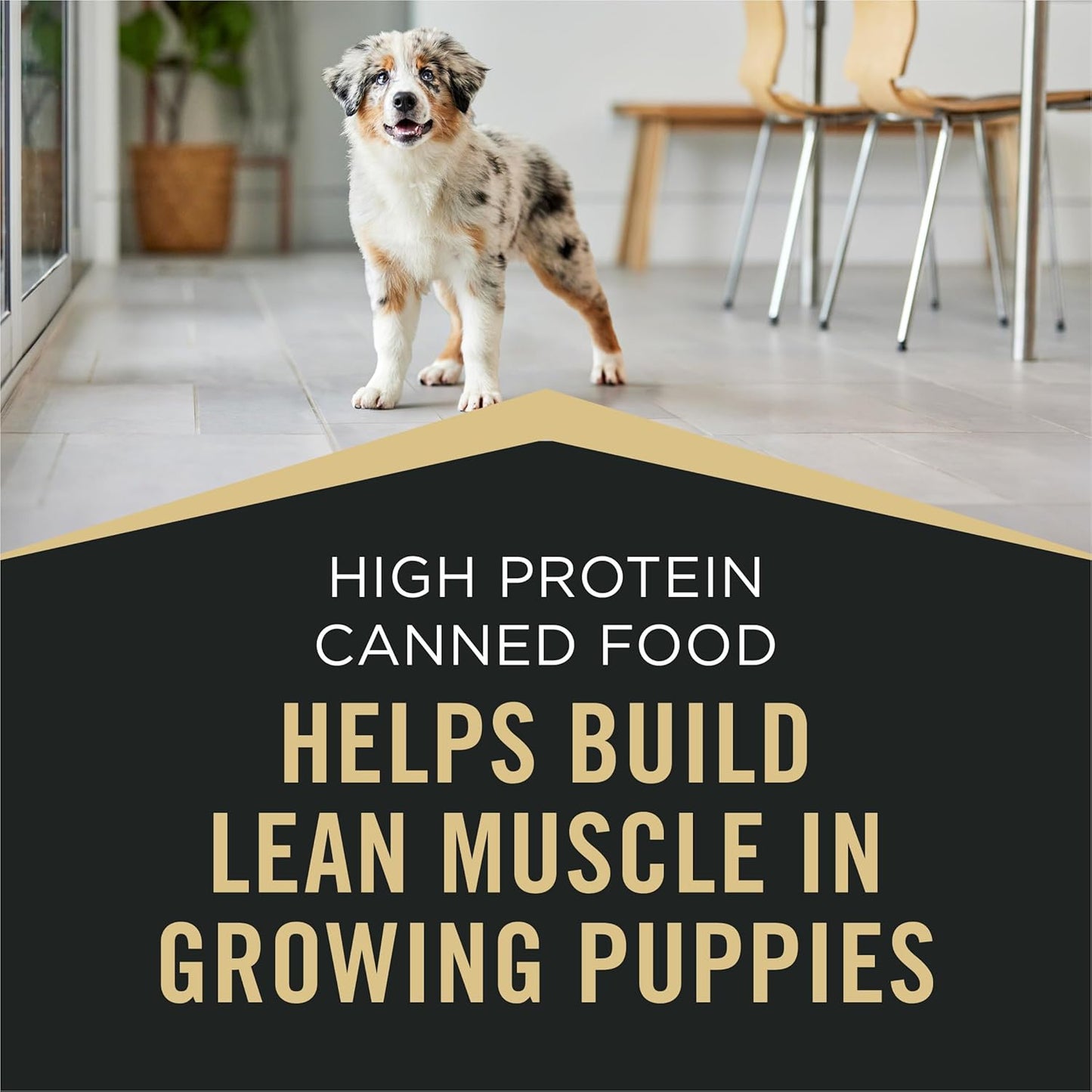 Purina Pro Plan Sport High Protein Wet Puppy Food Beef and Rice Entree and Chicken and Rice Entree Variety Pack - (Pack of 12) 13 oz. Cans