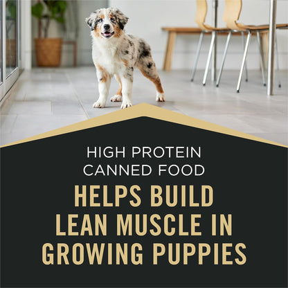 Purina Pro Plan Sport High Protein Wet Puppy Food Beef and Rice Entree and Chicken and Rice Entree Variety Pack - (Pack of 12) 13 oz. Cans