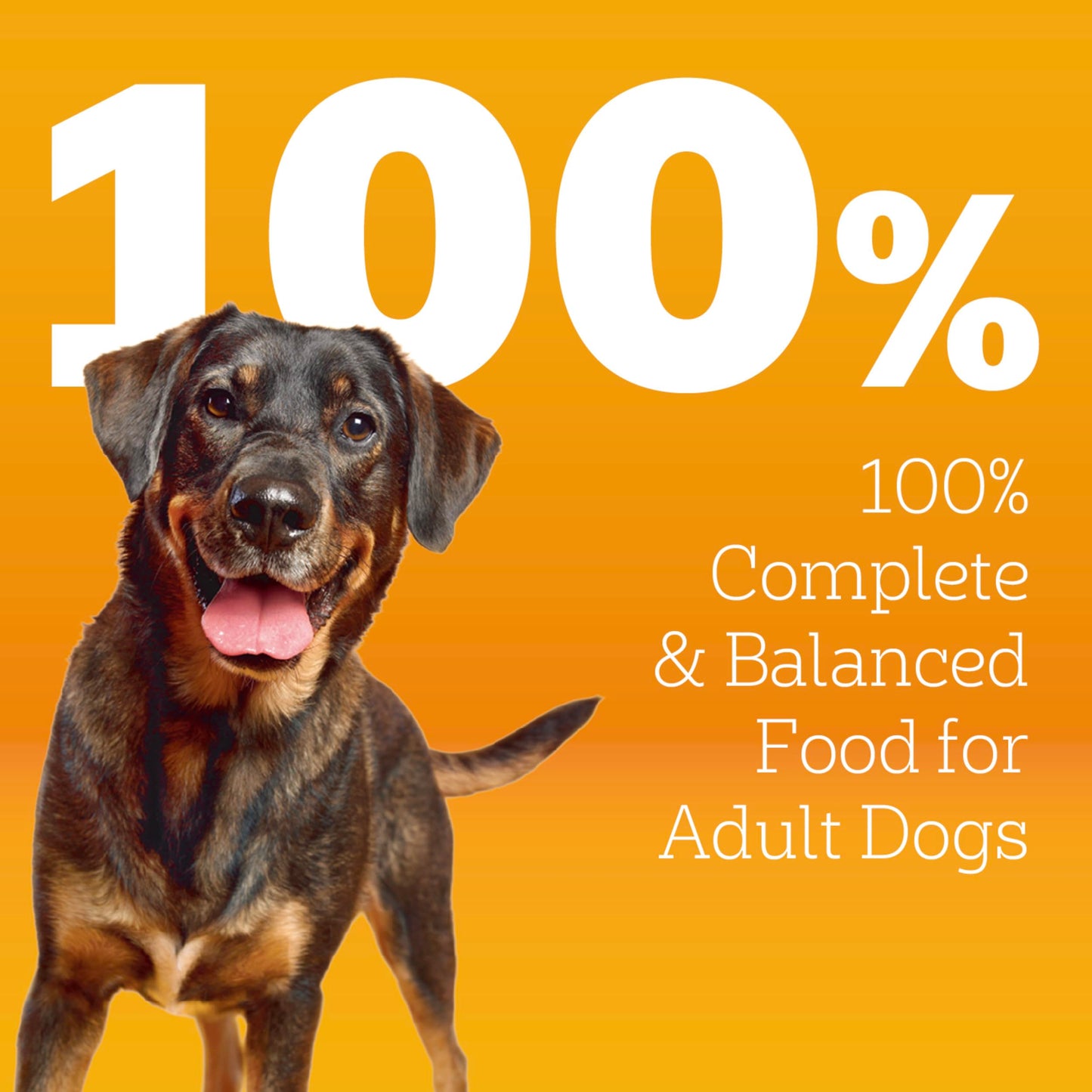 Pedigree Dry Dog Food for Adult Dogs, High Protein, Beef and Lamb Flavor, 18 lb. Bag