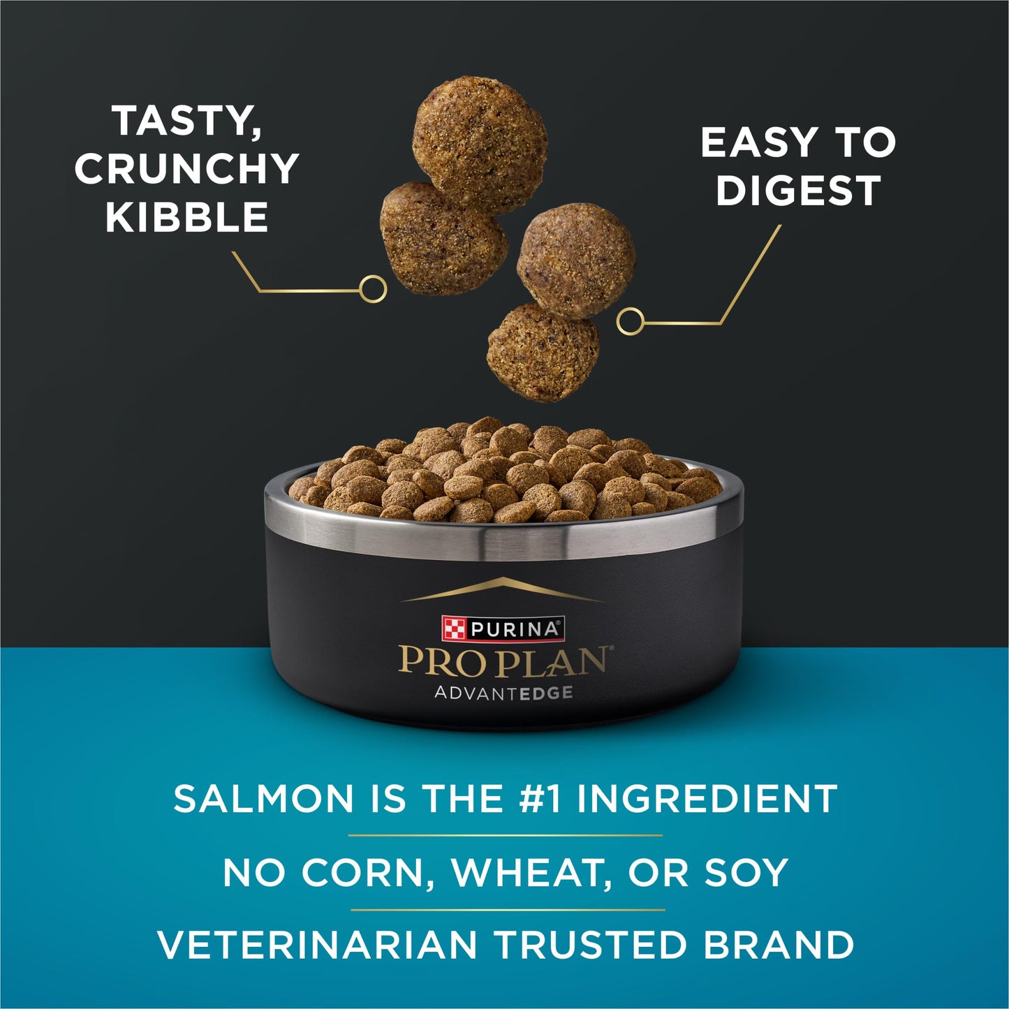 Purina Pro Plan AdvantEDGE Digestive Support Plus Salmon and Oat Meal Formula Adult Dry Dog Food - 22 lb Bag