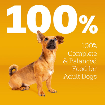 Pedigree Dry Dog Food for Adult Small Dogs, Grilled Steak and Vegetable Flavor, 14 lb. Bag