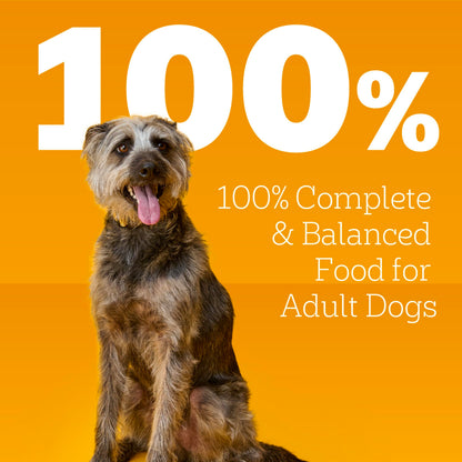 Pedigree Small Dog Tender Bites in Gravy Wet Dog Food Cans, Steak & Vegetable Flavor, 13.2 oz. Cans, 12 Count