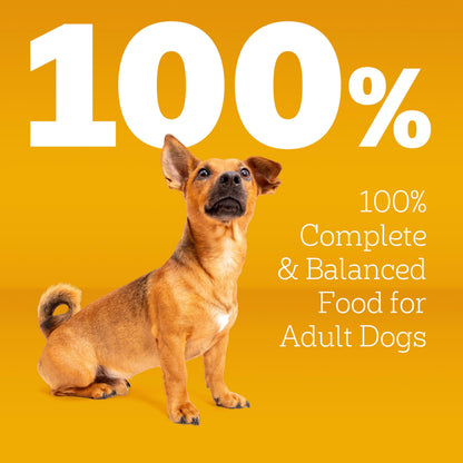Pedigree Dry Dog Food for Adult Small Dogs, Grilled Steak and Vegetable Flavor, 14 lb. Bag