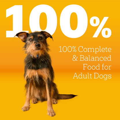 Pedigree Adult Dry Dog Food, Complete Nutrition, Grilled Steak & Vegetable Flavor, 18 lb. Bag