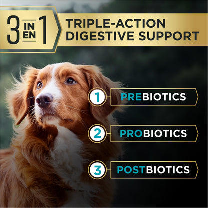 Purina Pro Plan AdvantEDGE Digestive Support Plus Salmon and Oat Meal Formula Adult Dry Dog Food - 22 lb Bag