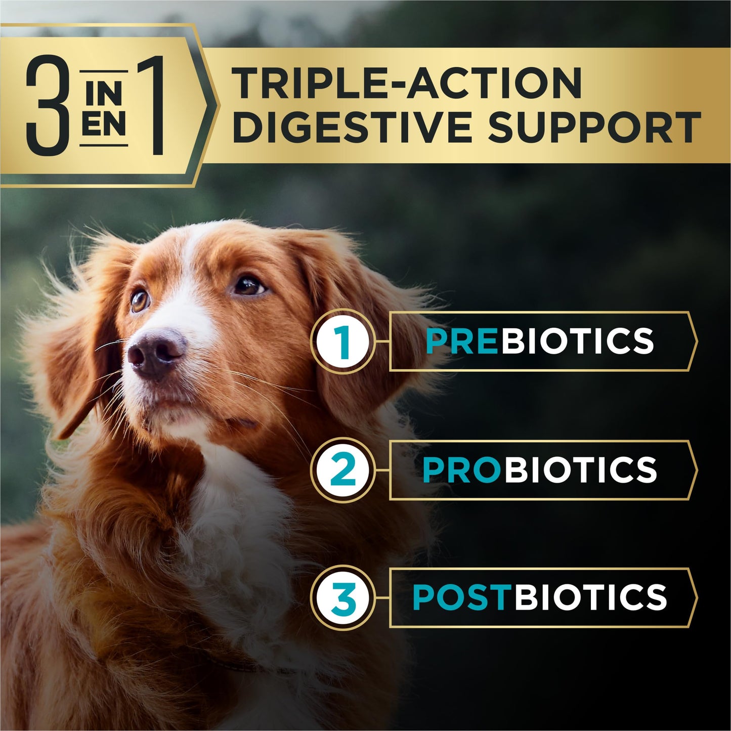 Purina Pro Plan AdvantEDGE Digestive Support Plus Salmon and Oat Meal Formula Adult Dry Dog Food - 22 lb Bag