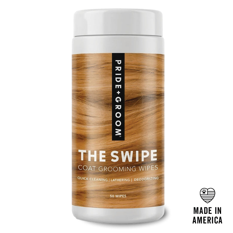 THE SWIPE
