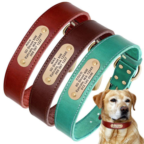 Custom Engraved Leather Dog Collar With Golden Nameplate - Personalized Identification For Medium To Large Dogs