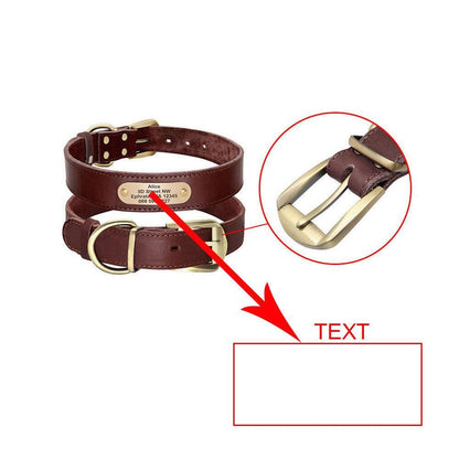 Custom Engraved Leather Dog Collar With Golden Nameplate - Personalized Identification For Medium To Large Dogs